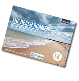 Beach Roamer