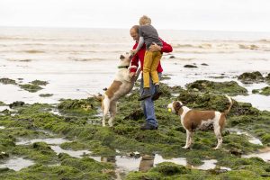 family on beach with dogs