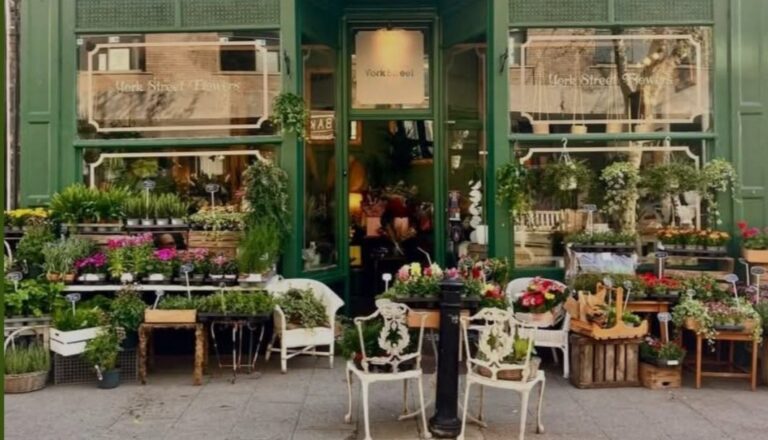 York Street Flowers